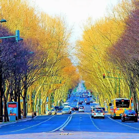 Amazing Downtown Family *